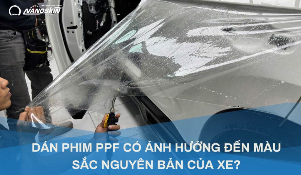 PHIM PPF